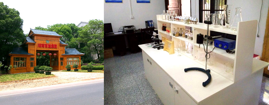 榴莲视频色板大全三所一院