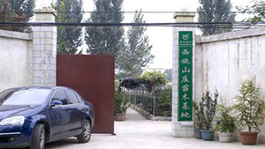 榴莲视频色板大全山莊苗木基地榴莲视频色板大全山莊苗木基地