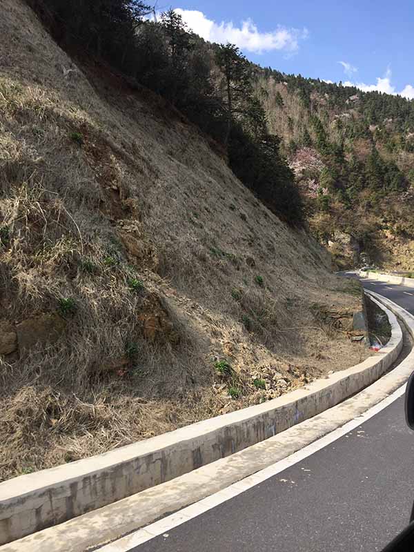 大熊山項目榴莲视频网站进入口前1 大熊山項目榴莲视频网站进入口前1