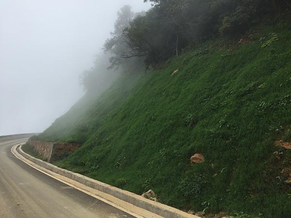大熊山項目榴莲视频网站进入口後2 大熊山項目榴莲视频网站进入口後2