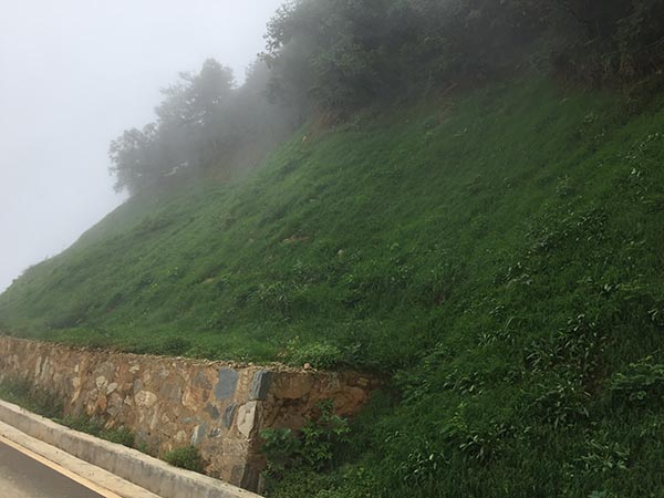 大熊山項目榴莲视频网站进入口後1 大熊山項目榴莲视频网站进入口後1