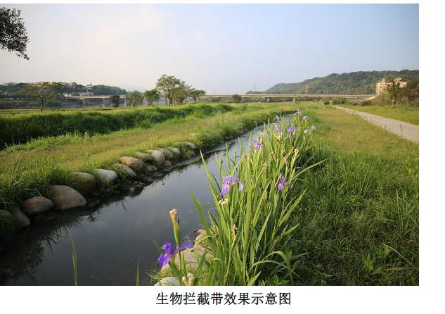 平江河3 平江河3