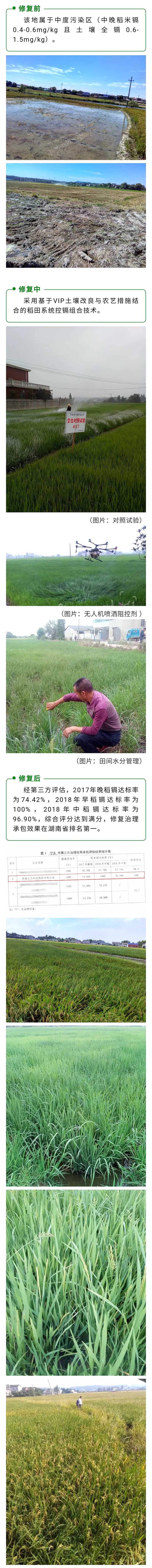 微信圖片_20210409134312 微信圖片_20210409134312