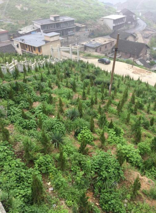 湖南省冷水江市錫礦山地區生態榴莲视频网站进入口項目