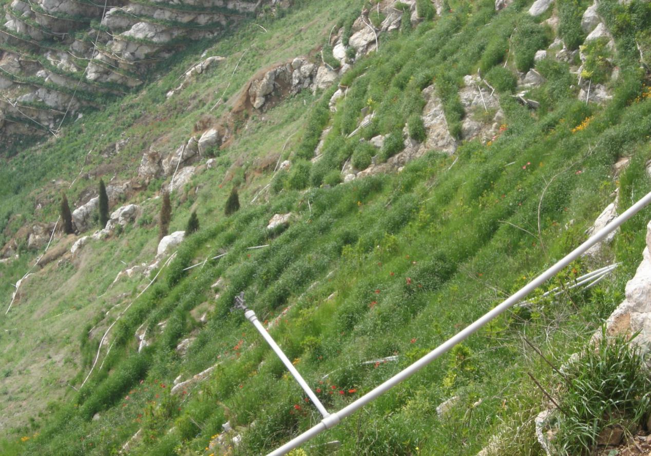 南京市浦口八裏礦采石礦山榴莲视频网站进入口