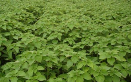 貴州省銅仁市生態榴莲视频网站进入口與精準扶貧示範區