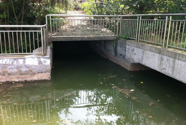 青竹湖2 青竹湖2