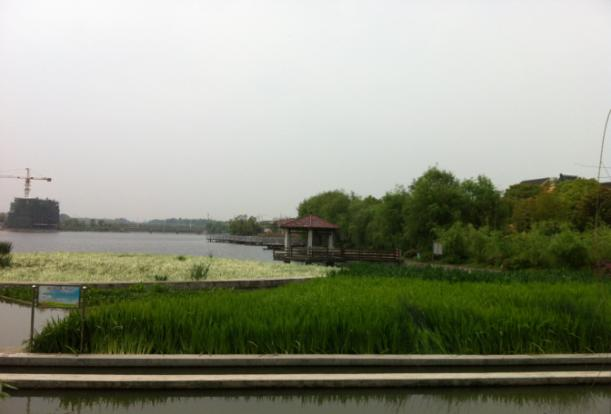 青竹湖3 青竹湖3