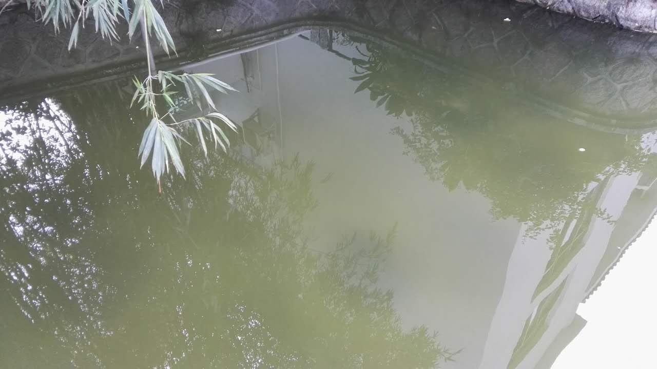香蜜湖3 香蜜湖3