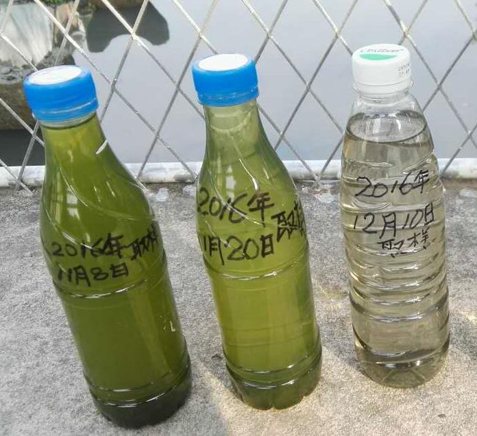珠海南屏5 珠海南屏5