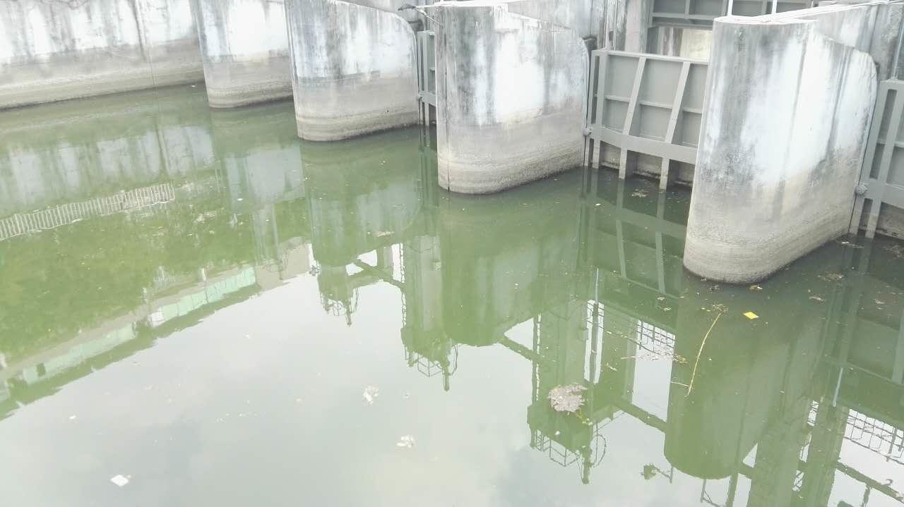 出海口2 出海口2