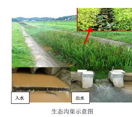 平江河4 平江河4