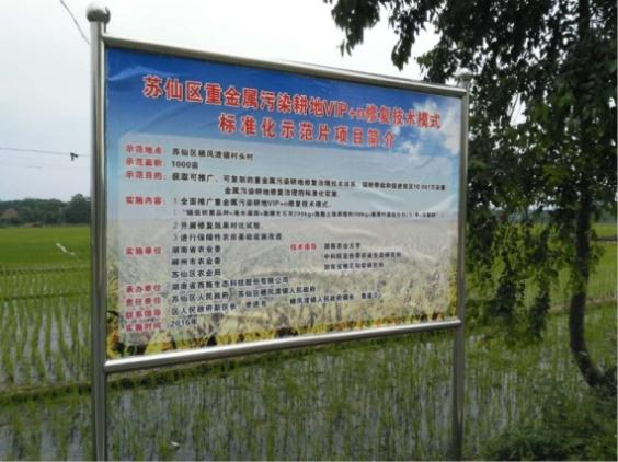農田鎘汙染榴莲视频网站进入口2 農田鎘汙染榴莲视频网站进入口2