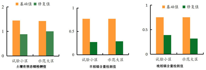 農田鎘汙染榴莲视频网站进入口3 農田鎘汙染榴莲视频网站进入口3