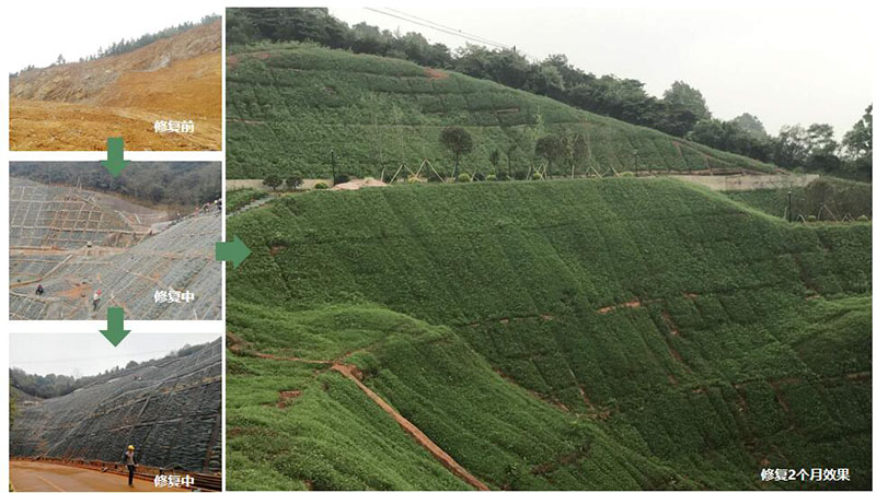 醴陵市國土資源局後山護坡生態覆綠項目 醴陵市國土資源局後山護坡生態覆綠項目