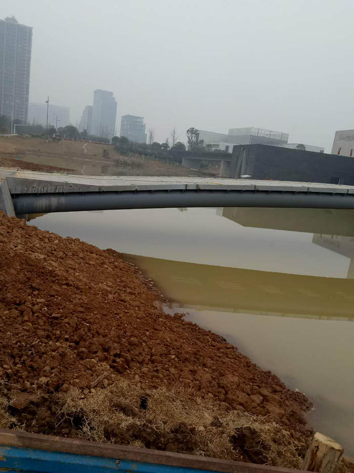洋湖濕地生態榴莲视频网站进入口與保育工程 洋湖濕地生態榴莲视频网站进入口與保育工程