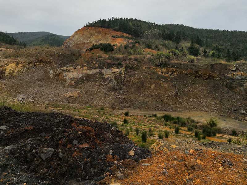 株洲醴陵市國瓷街道辦華塘礦區生態榴莲视频网站进入口工程項目