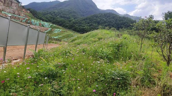 新邵縣三郎廟鉛鋅銻礦和鴻發采石場綜合治理與生態榴莲视频网站进入口工程項目（EPC）總承包